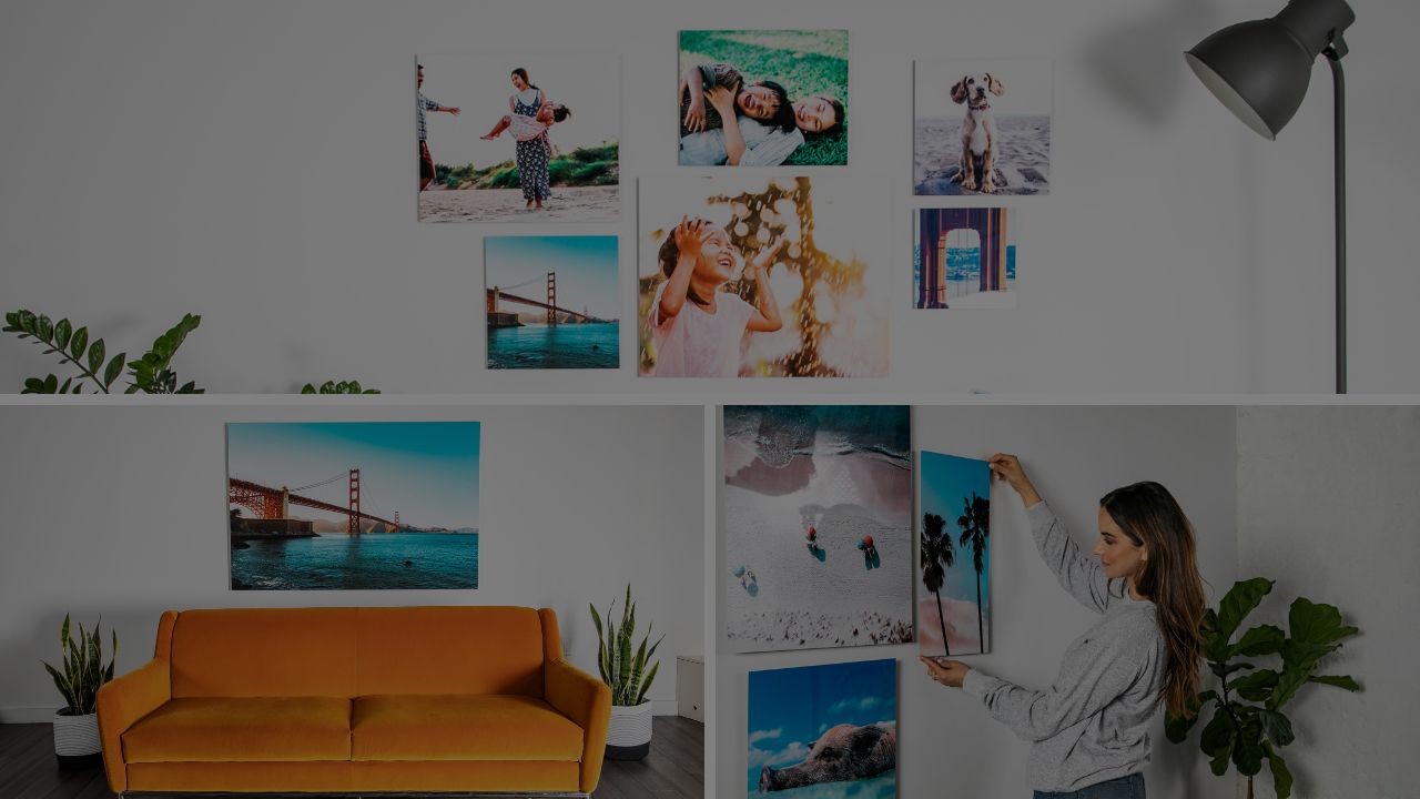 Gallery wall of vibrant aluminum photo prints featuring family moments, landscapes, and pets, displayed in a modern home using Aluminyze aluminum printing for high-definition, personalized metal wall art.